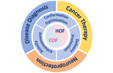 Crystalline porous organic frameworks: Emerging platforms for enzyme immobilization in biomedical applications 2025.100793